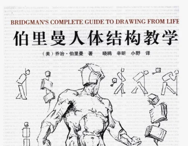 《伯里曼》进阶玩家的选择，理解人体的穿插方式以及肌肉的一种理解方式。
