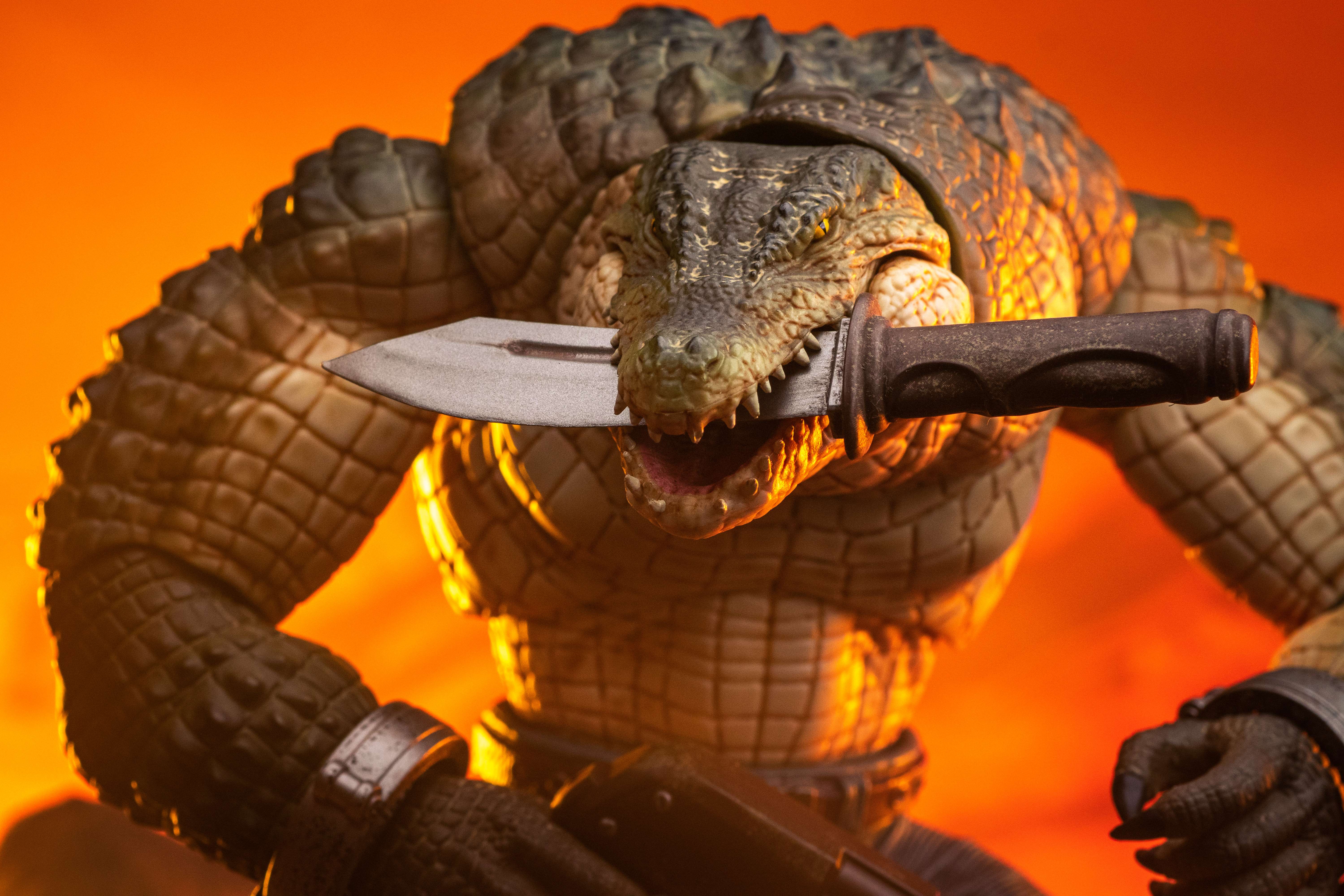 热带丛林兰博风情拉满!