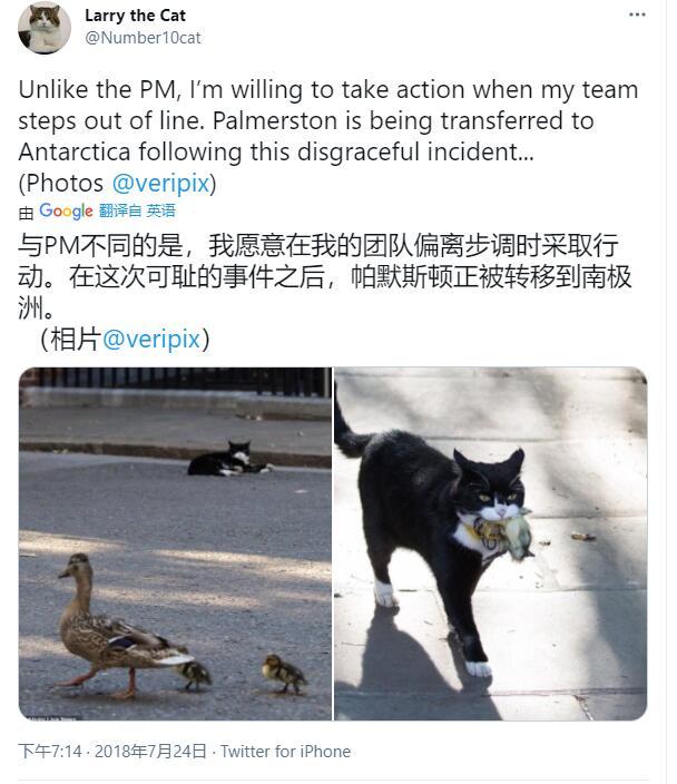 译介丨猫朋友世界博览:英伦公务猫 -古典时期的先驱者-
-是,捕鼠大臣-
-进入互联网时代-
-英国第一公务猫拉里(Larry)-
-后来又如何-
-编后记-