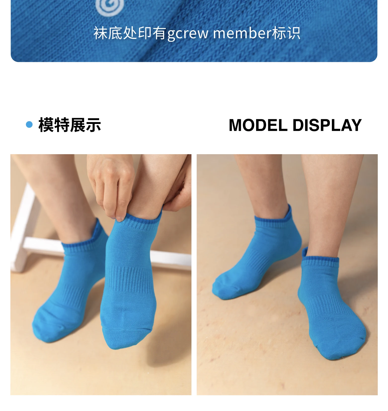 介绍图片