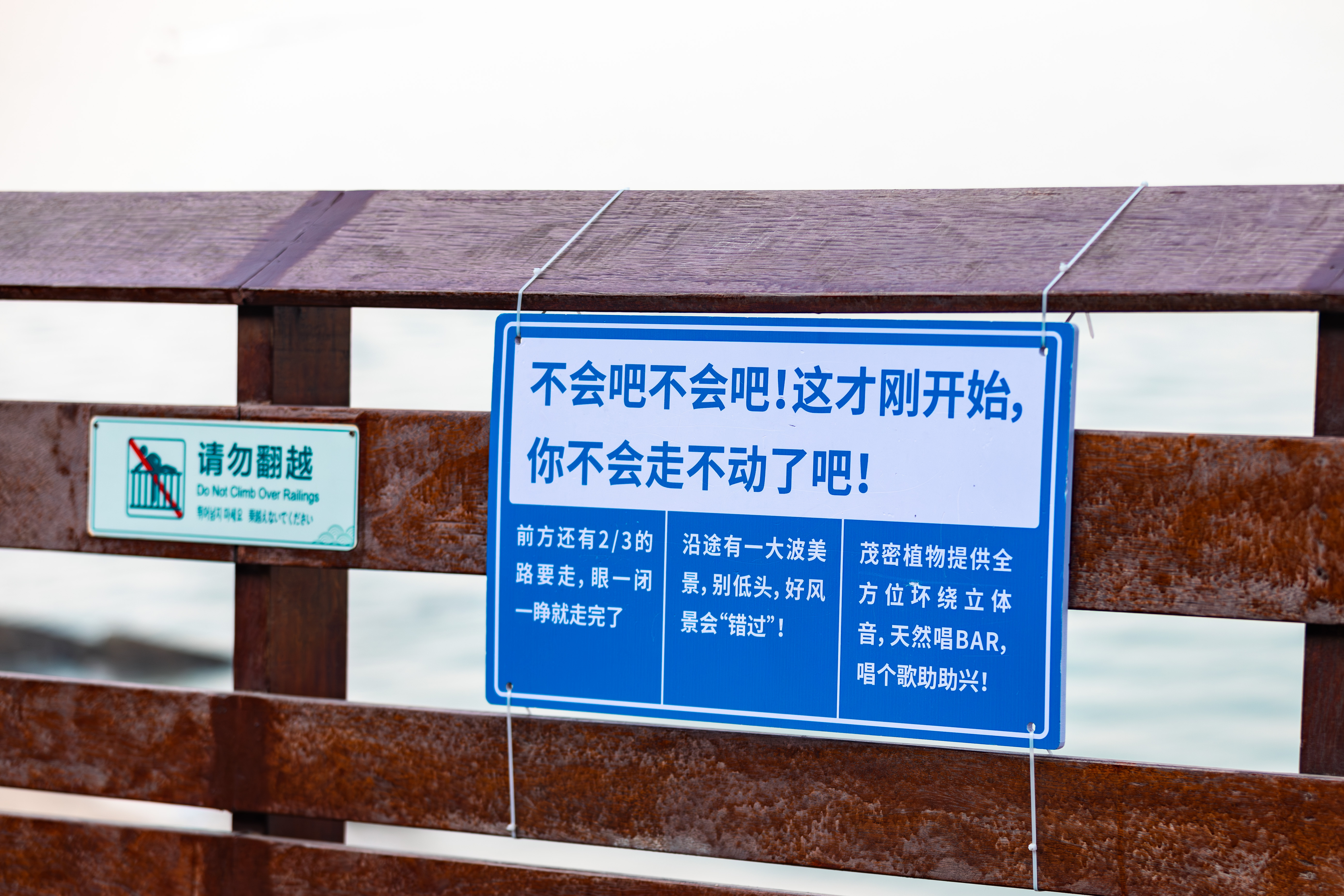 会说话就多说点
