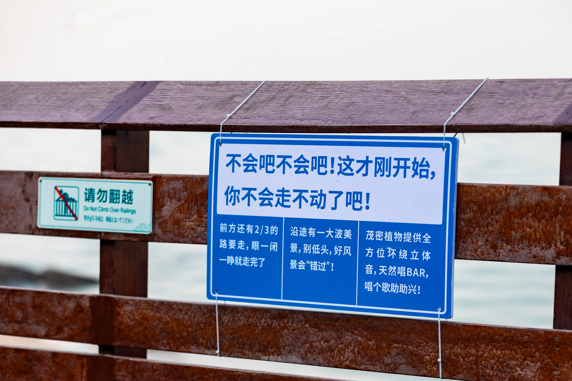 会说话就多说点