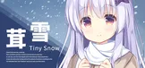 Tiny Snow