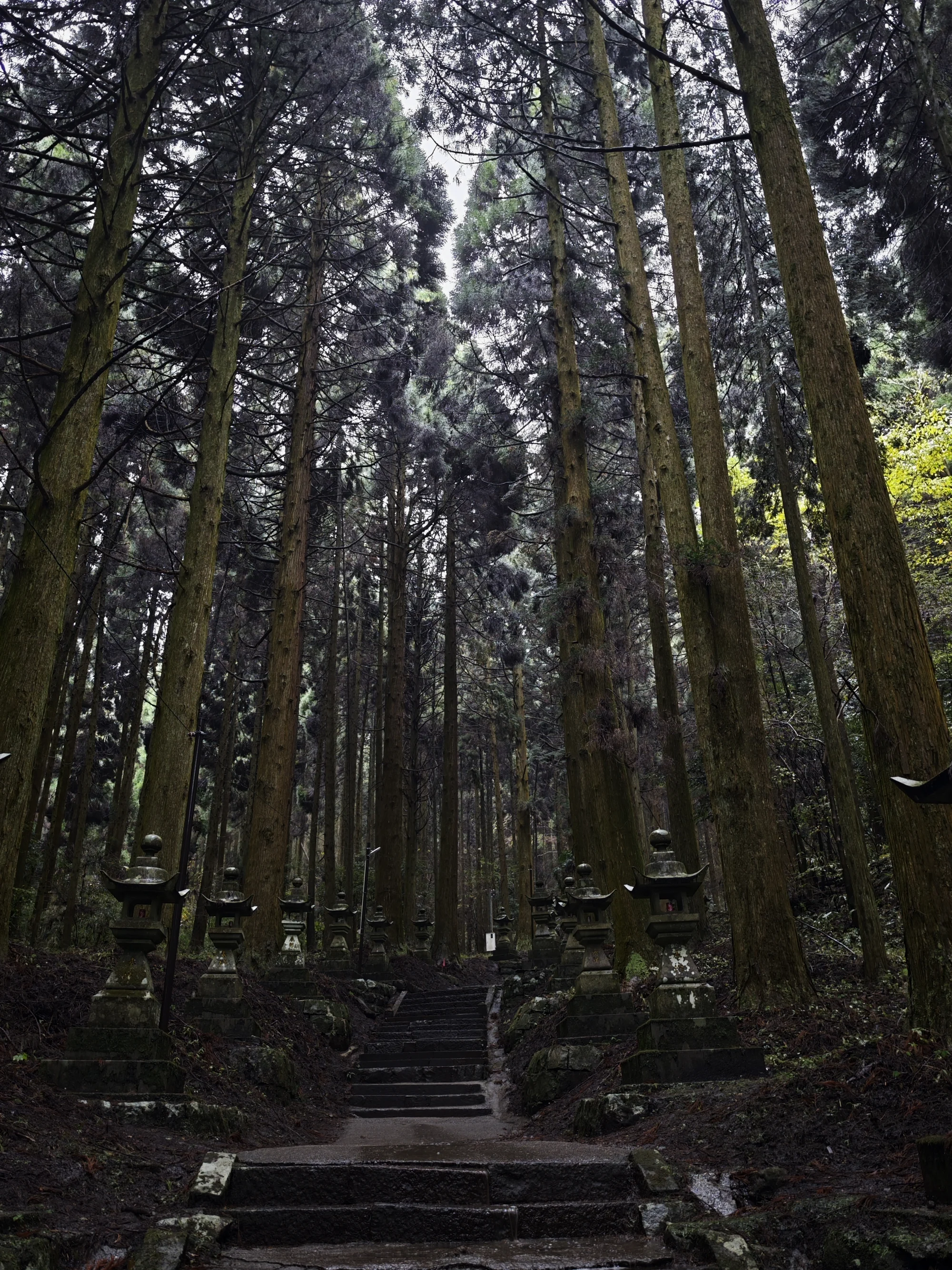 参道深处