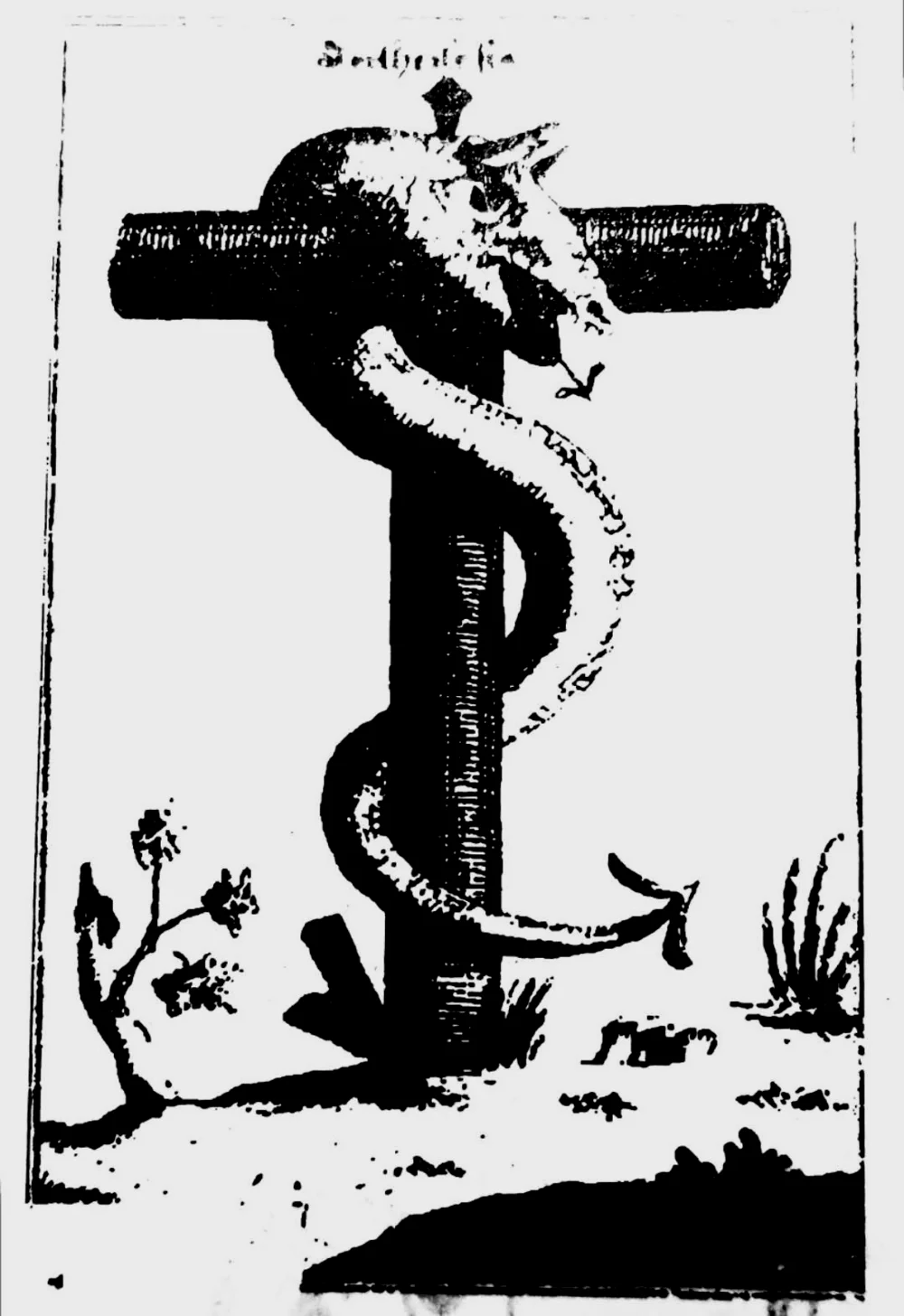 塔纳赫（旧约圣经）中地蛇神的形象