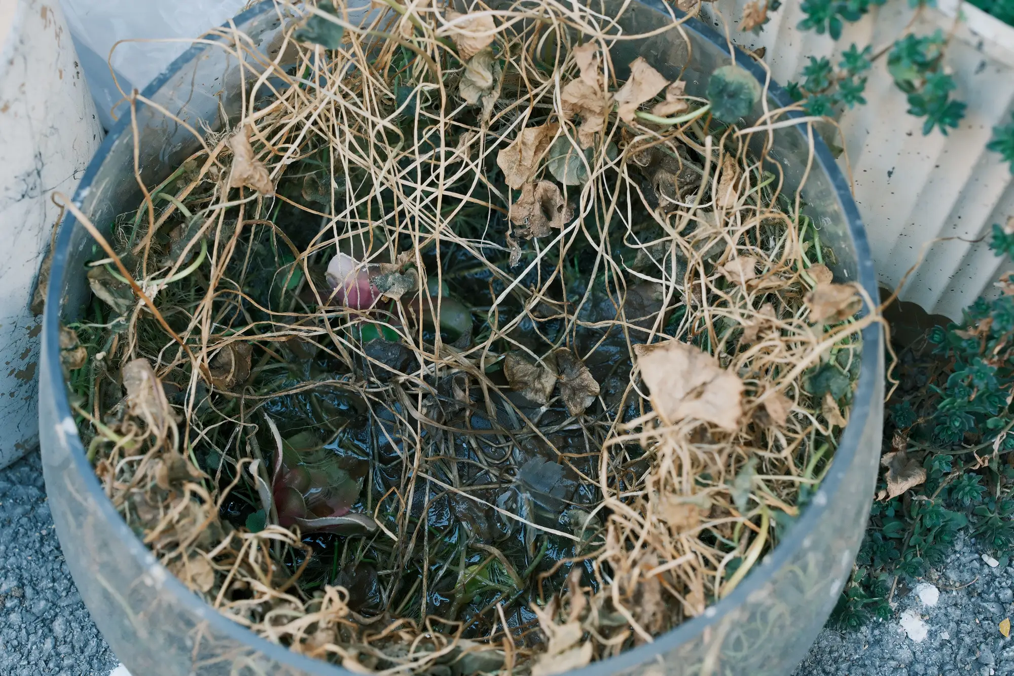 隔壁部门的同事则状态欠佳