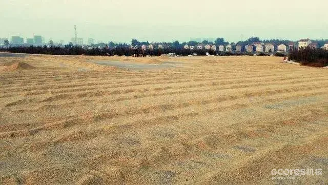 多少粒谷子算谷堆呢……