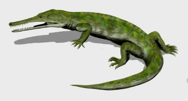 图为鳄龙。70年代的科普的突出发现，伴随着出版物的快速流通而产生巨大影响力。70年代的科普发现了水龙兽(Lystrosaurus)（1870）Archosauroph Champsosaurus鳄龙（1876年）和双腔龙(Diplodocus- like sauropod Amphicoelias)（1878）