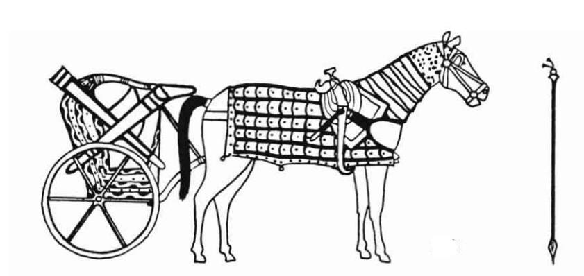图特莫斯三世的战车车马样式