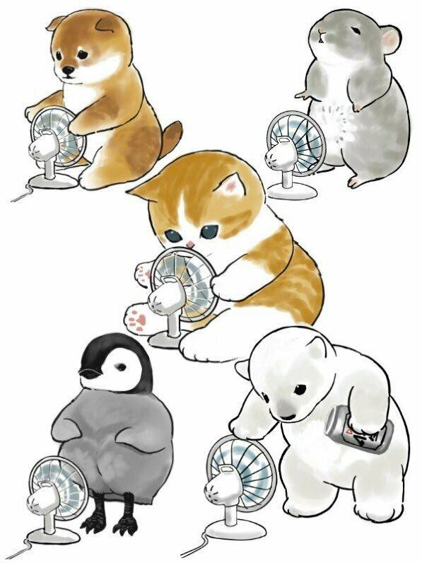 哪来的傻缺图185期:气温挺高,该吃夜宵 哪来的傻缺图185期:气温挺高,该吃夜宵