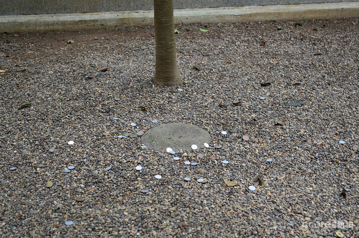 《铃芽之旅》剧情与民俗深度解读 《铃芽之旅》剧情与民俗深度解读