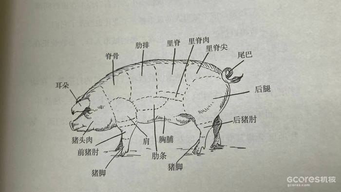 与猪同行:家猪的历史 与猪同行:家猪的历史