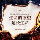 完成你的表演吧，就在这刑具搭起来的舞台上：黑色传说 Vol.X 番外谈
