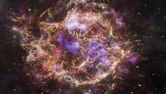 星种日记