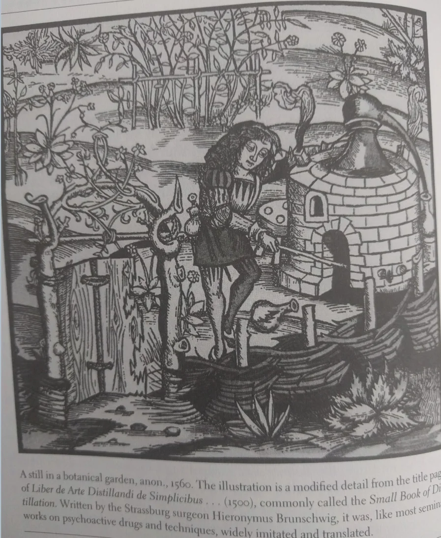 植物园中的蒸馏设备，1560年。临摹子1500年的《简易蒸馏技术指数》的书名页。
