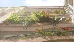 城市走走