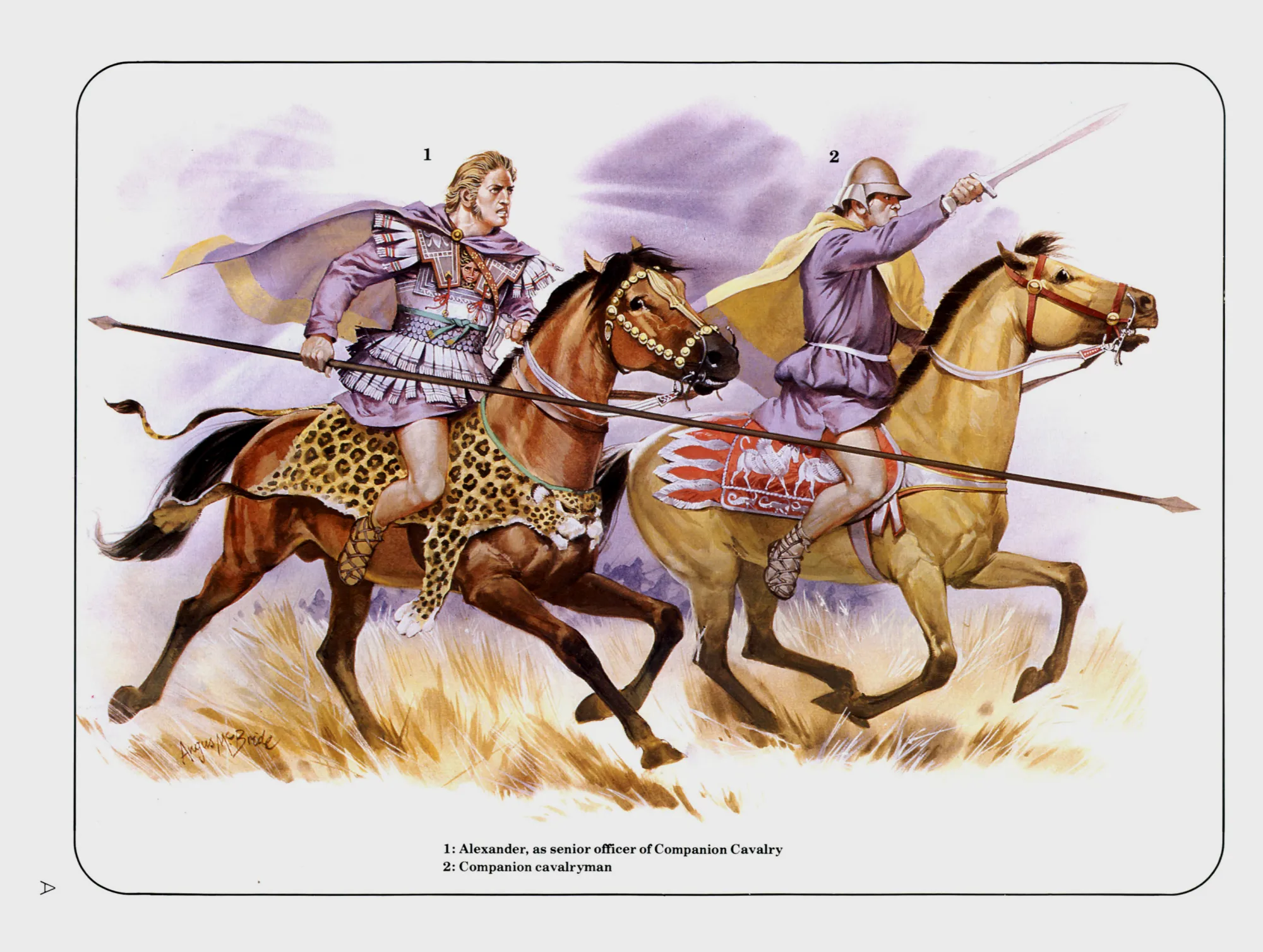 根据知名的伊苏斯镶嵌画复原的亚历山大和伙伴骑兵军官。伙伴骑兵的马嚼子是红色的。