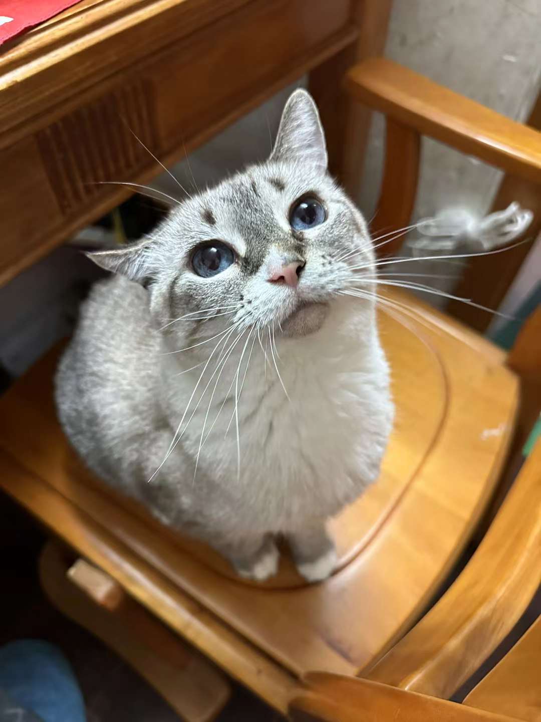 XDHOLY的月常：2023年1、2月