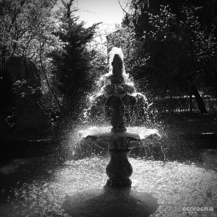 水花四溅,医院小公园的喷水池。