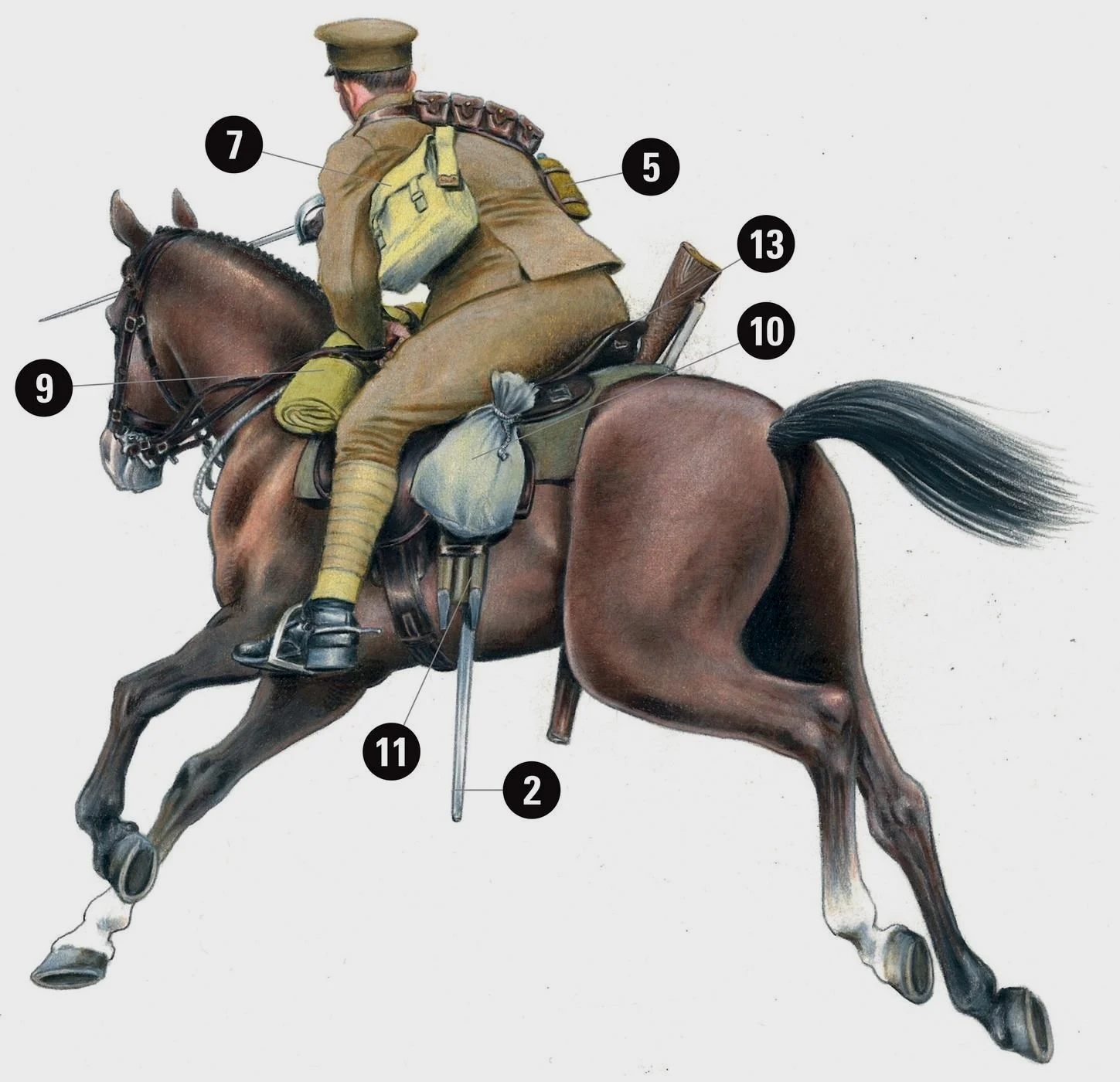 除去骑兵剑外，他还配备有一把SMLE步枪，战斗中一些骑兵曾经下马，以射击掩护友军的冲锋