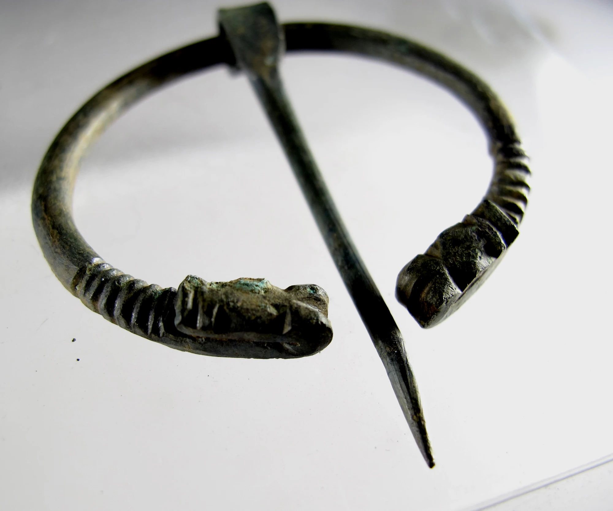一枚发现于英国的兽头形开口环胸针