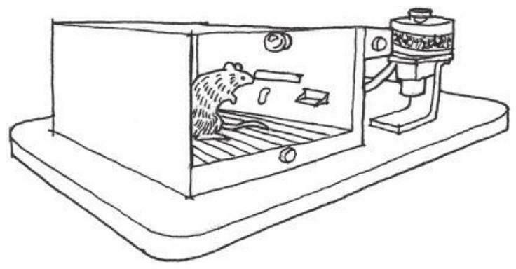 圖4-1 （一個典型的操作性條件反射箱，也稱為斯金納老鼠箱。這個箱子配備了用於多種用於實驗的設備，包括用作刺激的燈和揚聲器、食物分配器、控制桿以及通過地板傳遞電擊的電網。）