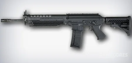 SIG 556