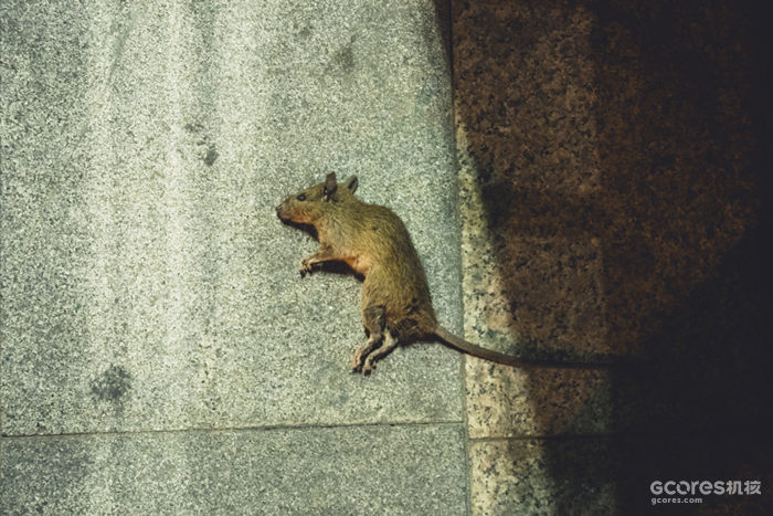 摄影分享丨这一年 摄影分享丨这一年