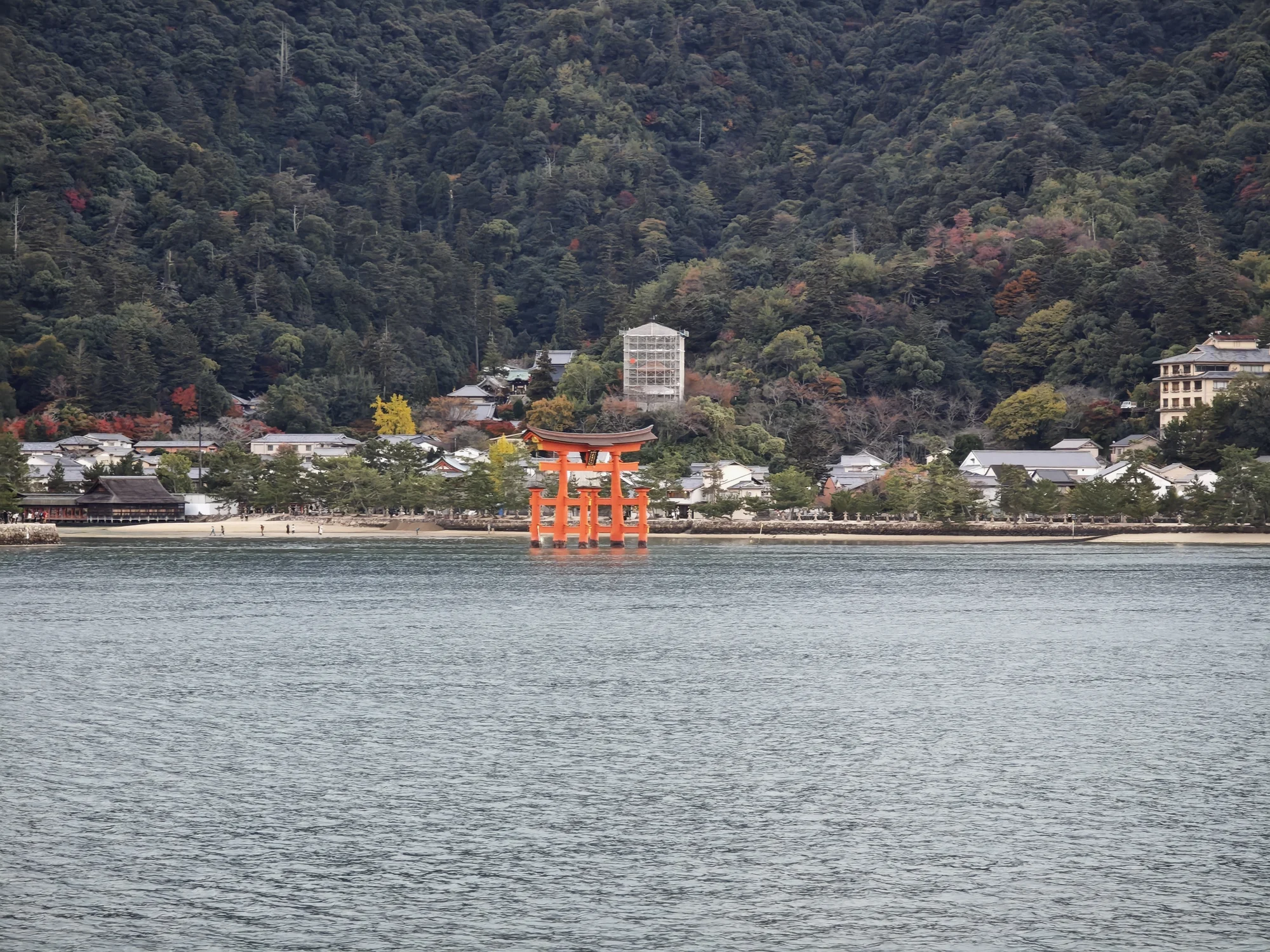 乘船远眺大鸟居