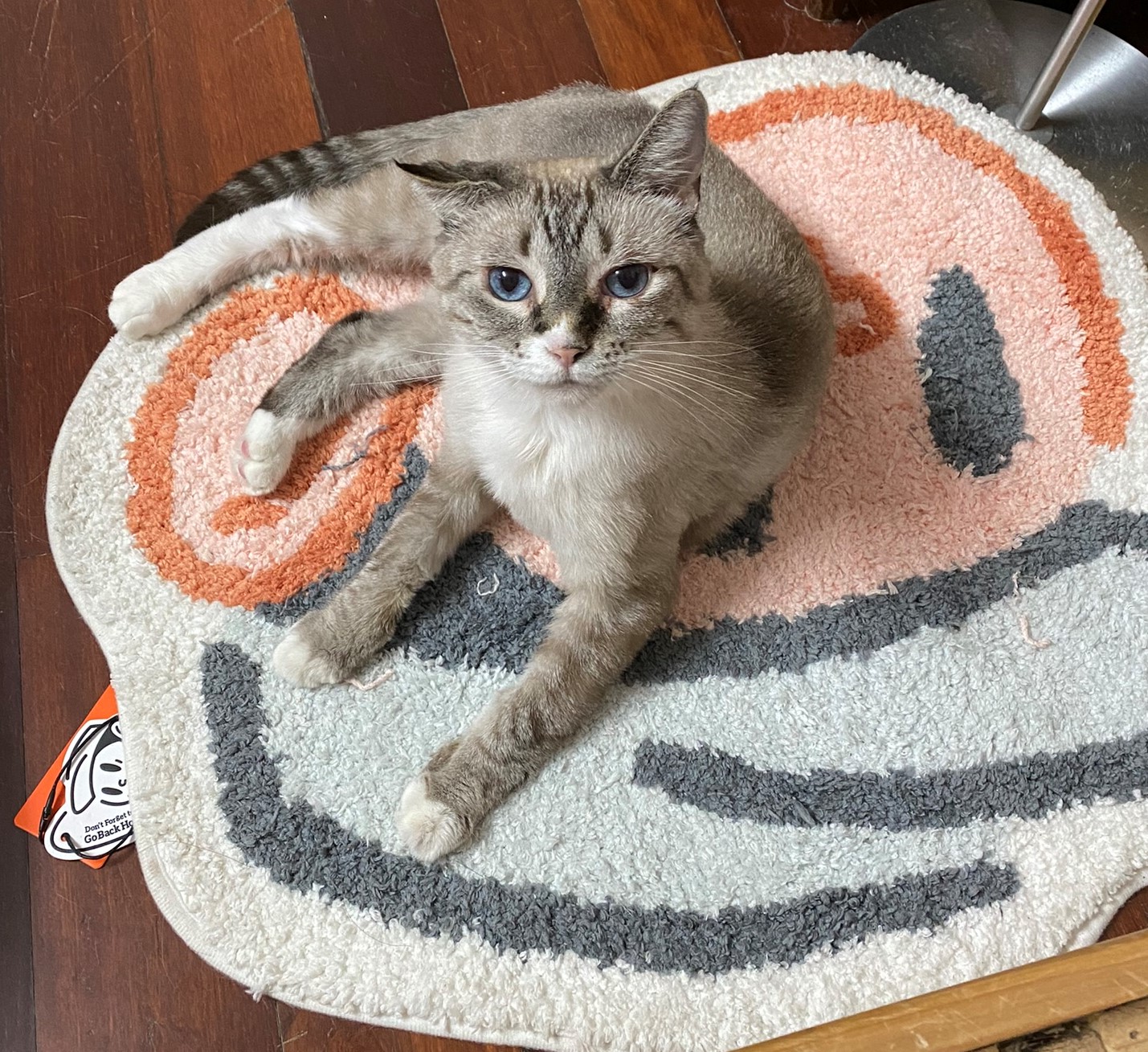 XDHOLY的游戏记忆：2022年7、8月篇