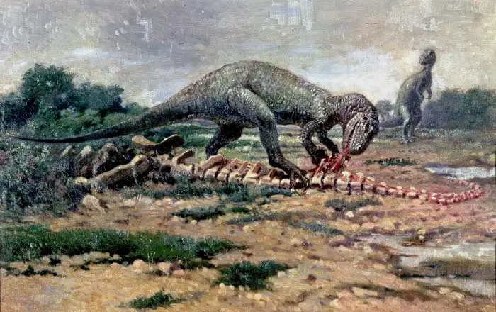 查尔斯·耐特也见过异特龙，在他绘制的图画中，编号为AMNH5753的异特龙跨越在一只迷惑龙身上进食。这是第一次将兽脚类恐龙描绘为站立姿态，虽然当时并无科学证据可以支持这一点。