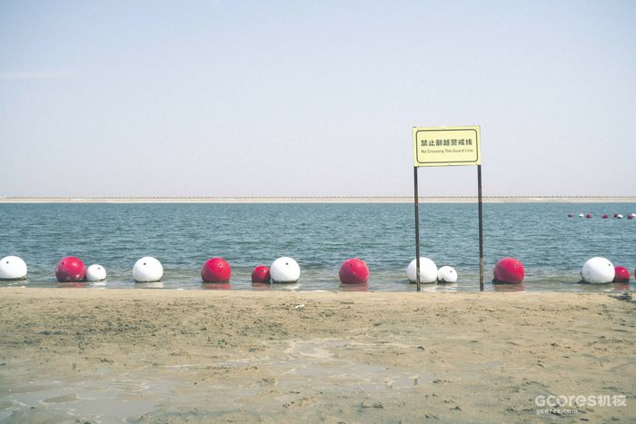 摄影分享丨这一年 摄影分享丨这一年