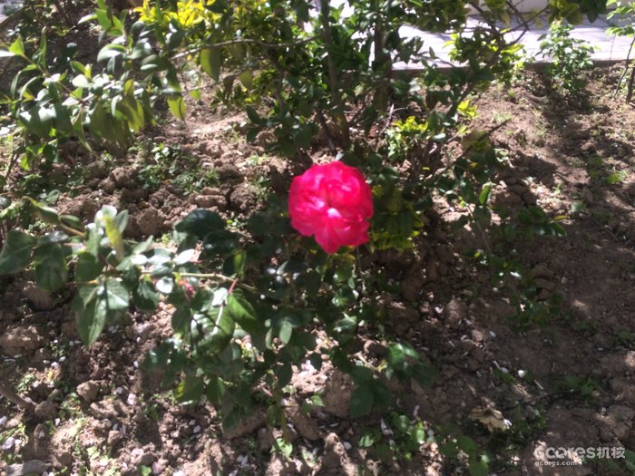 摄影分享丨巴库 摄影分享丨巴库