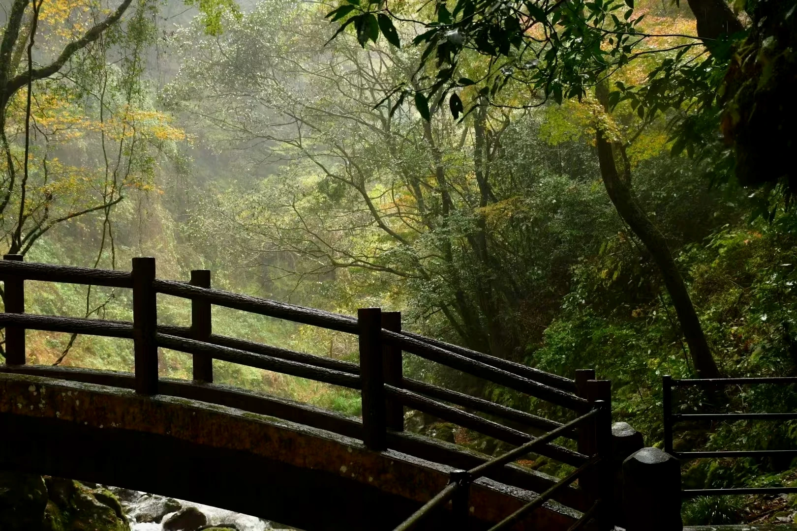 溪谷景色2
