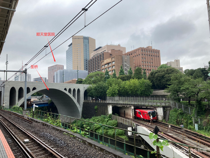 《铃芽之旅》剧情与民俗深度解读 《铃芽之旅》剧情与民俗深度解读