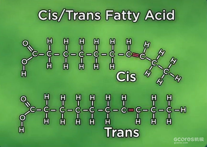 译介丨改善身体构成——饮食与运动 第七讲:脂肪 译介丨改善身体构成——饮食与运动 第七讲:脂肪