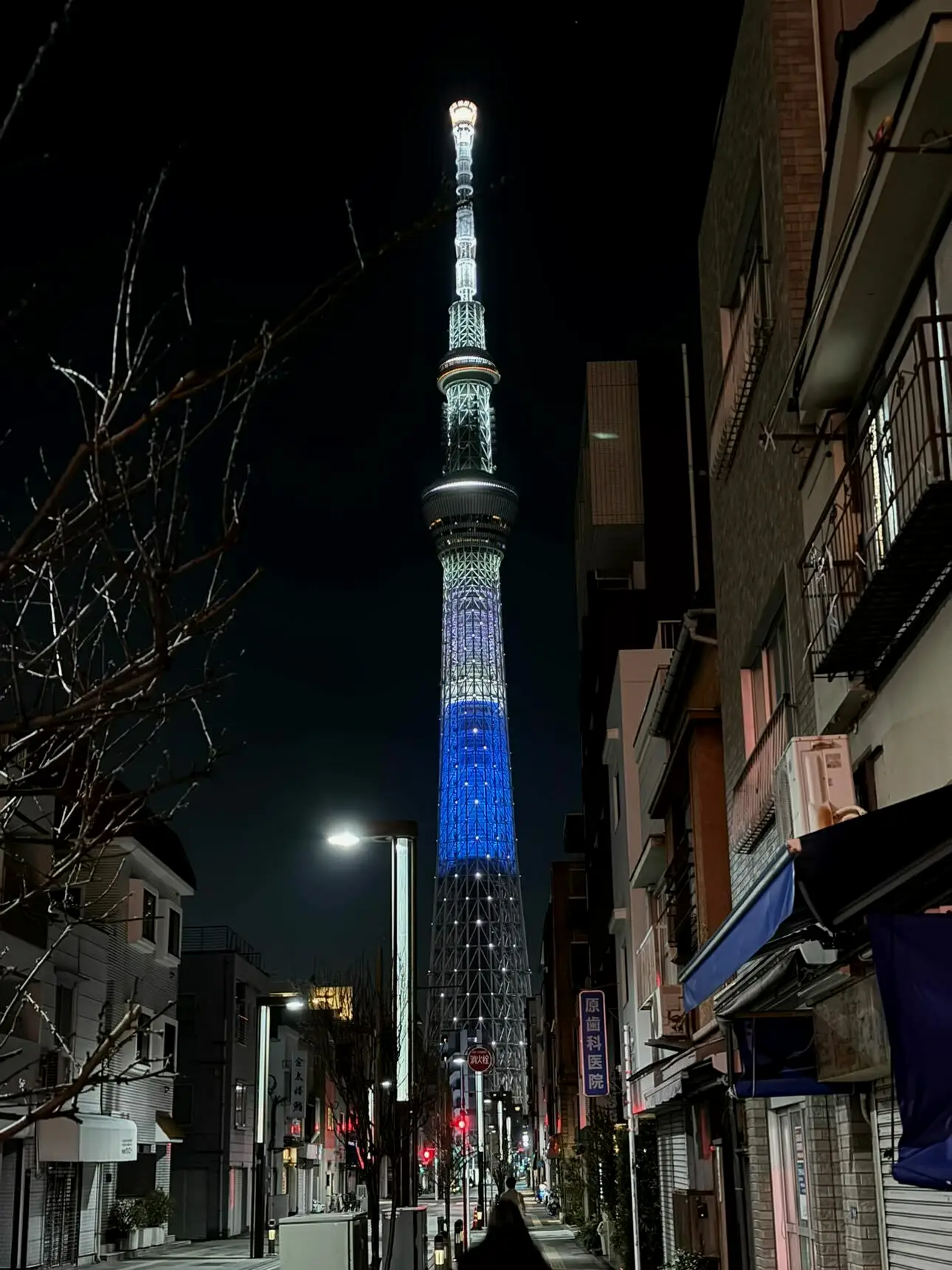 第二阶段