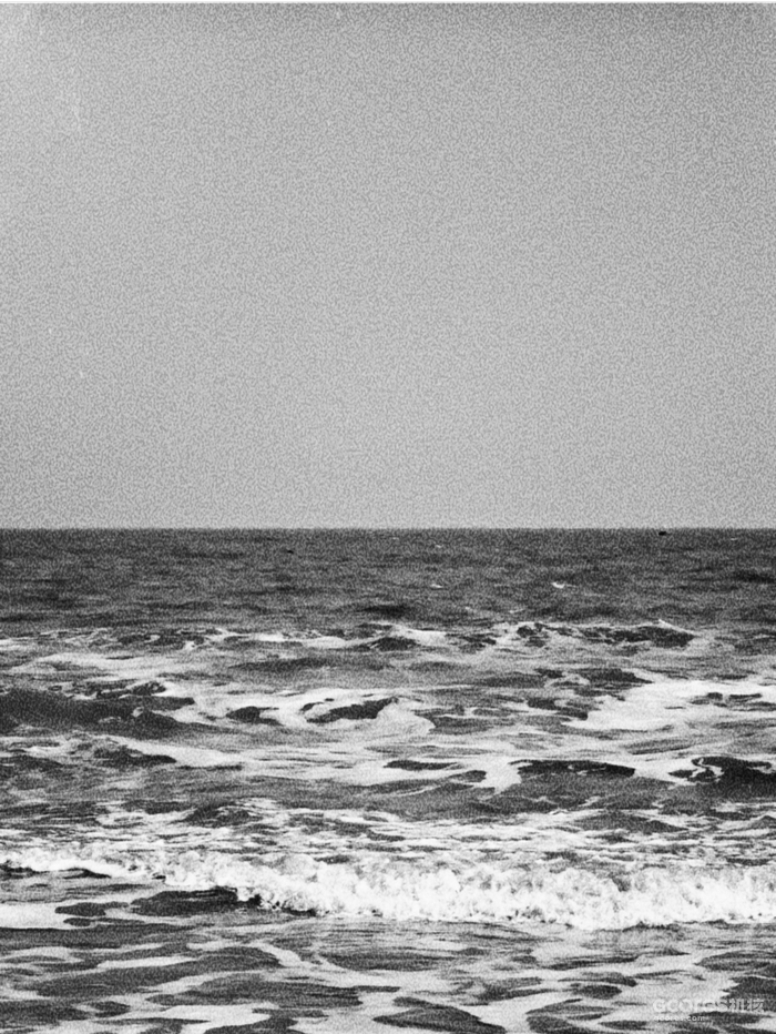 摄影分享丨这一年 摄影分享丨这一年