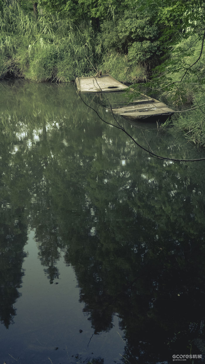 摄影分享丨这一年 摄影分享丨这一年