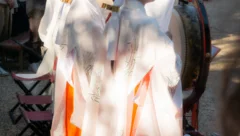 日常瞎拍