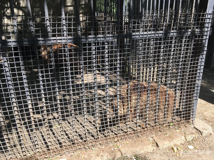 摄影分享丨巴库 摄影分享丨巴库