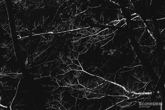 摄影分享丨这一年 摄影分享丨这一年