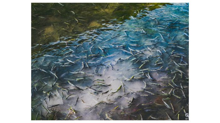 摄影分享丨这一年 摄影分享丨这一年