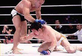 PRIDE FC 简史 pt.2 PRIDE FC 简史 pt.2