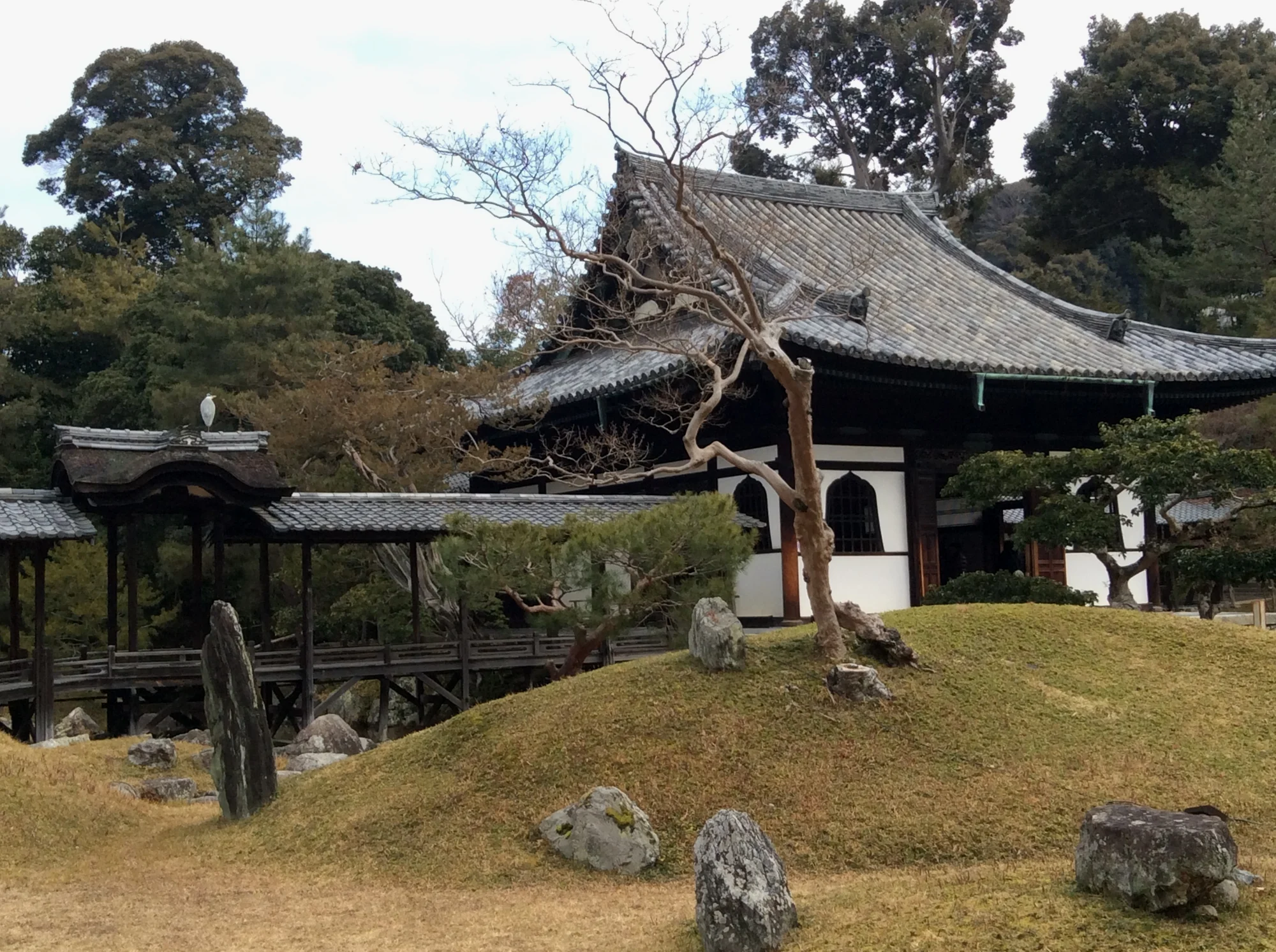 高台寺的庭院