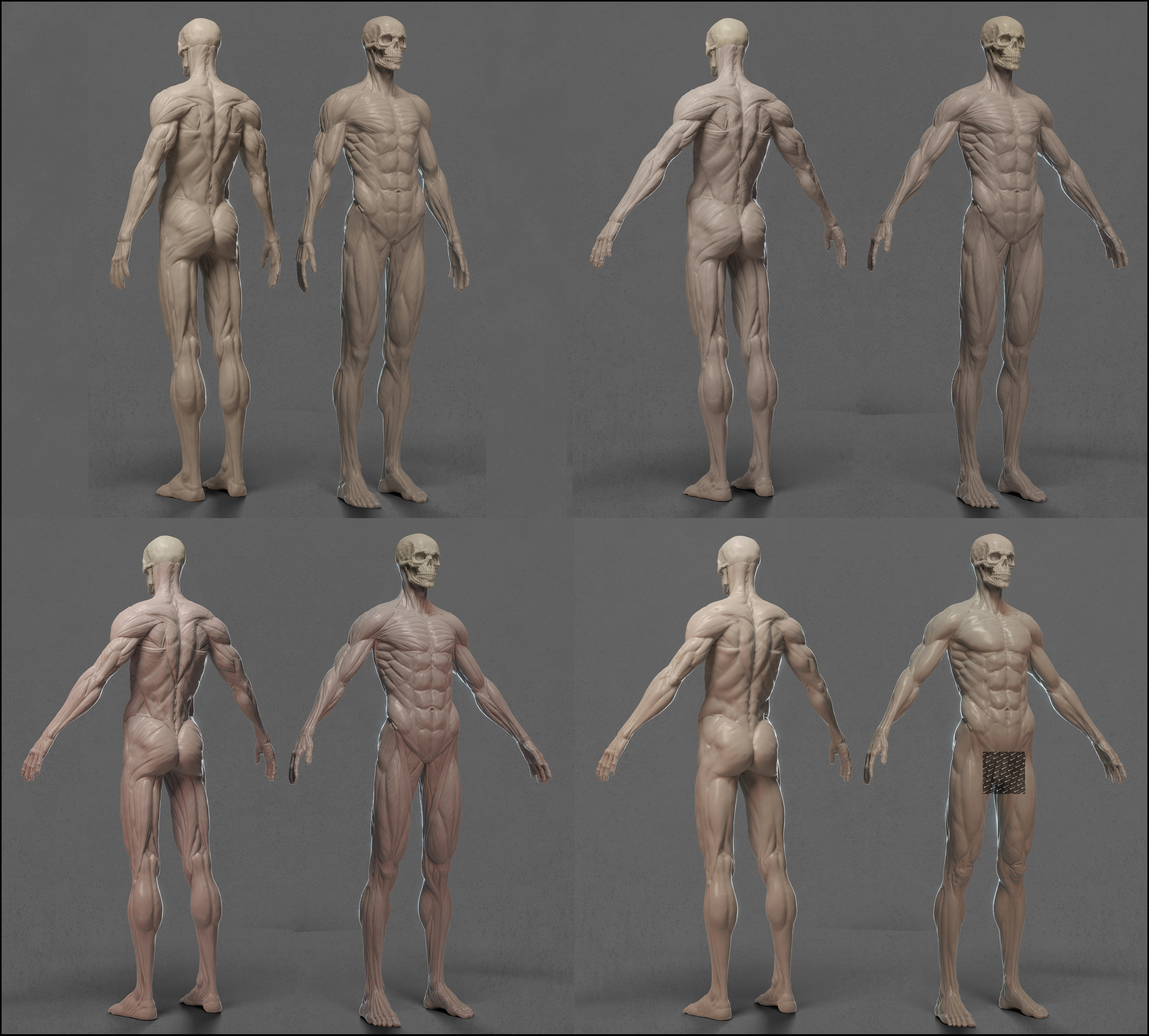 男性人體模型-00
