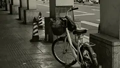 手机瞎拍