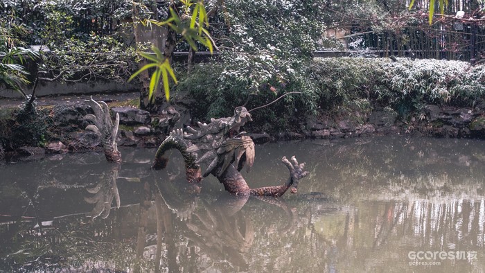 摄影分享丨这一年 摄影分享丨这一年