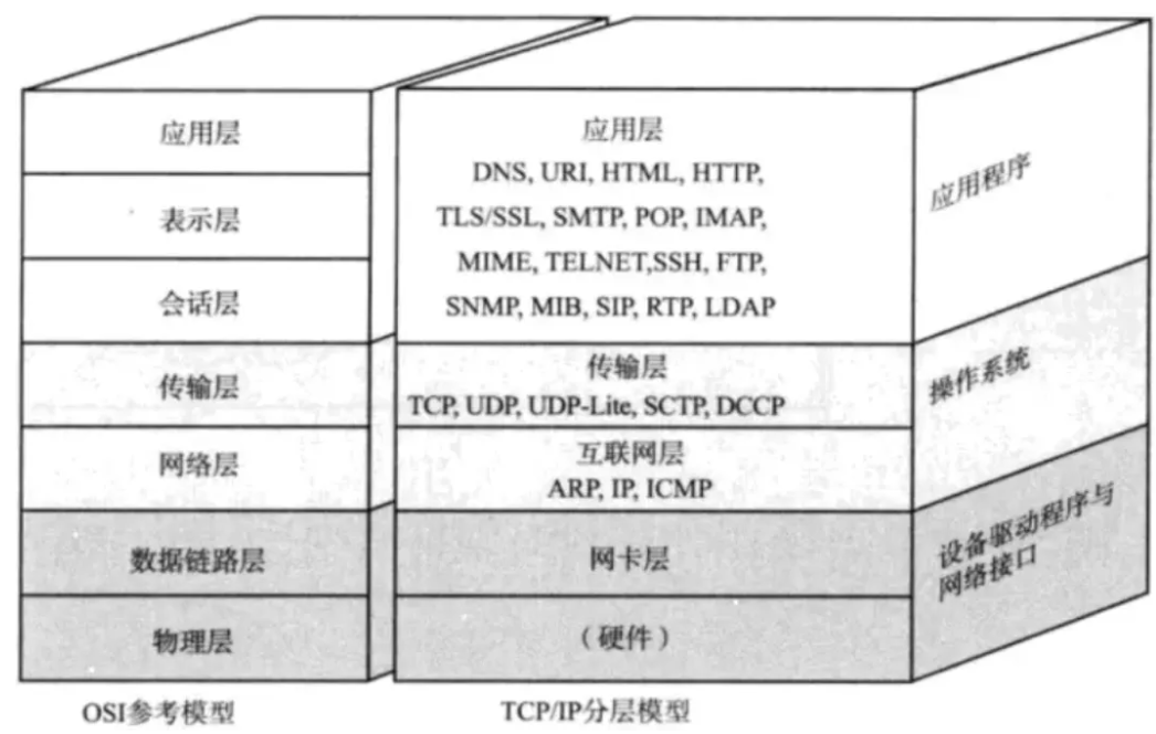 网络的 7 层模型