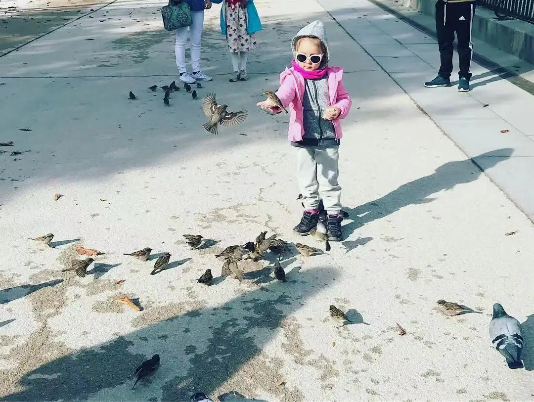 喂鸟的小萌妹